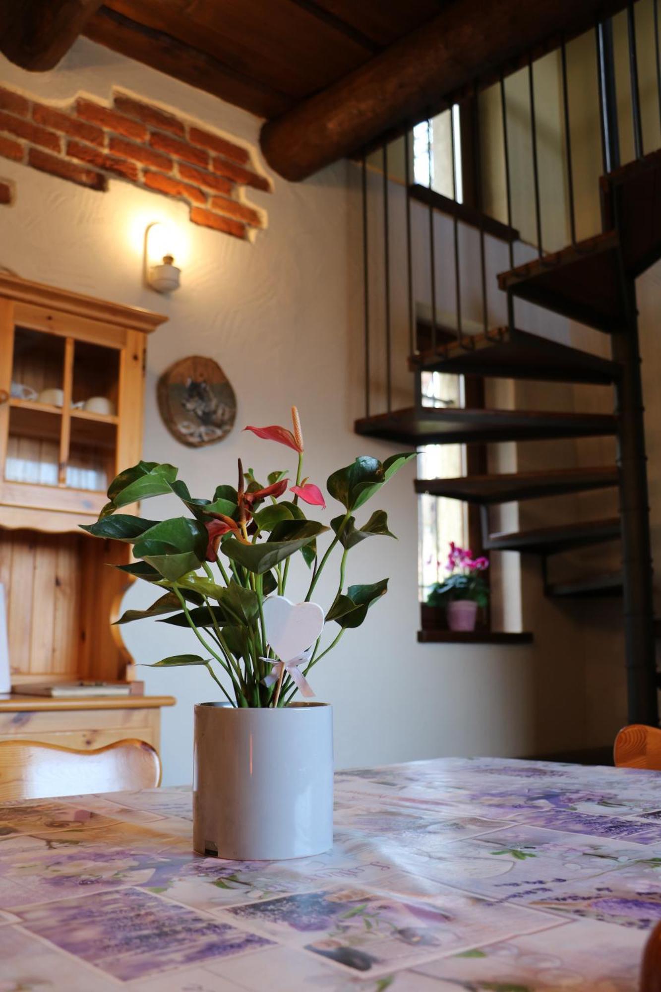 Casa Vacanze Le Primule Peveragno Екстериор снимка