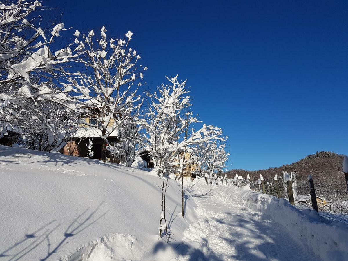 Casa Vacanze Le Primule Peveragno Екстериор снимка