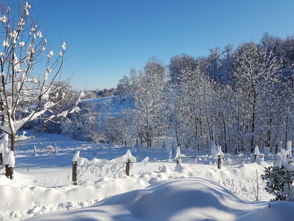 Casa Vacanze Le Primule Peveragno Екстериор снимка