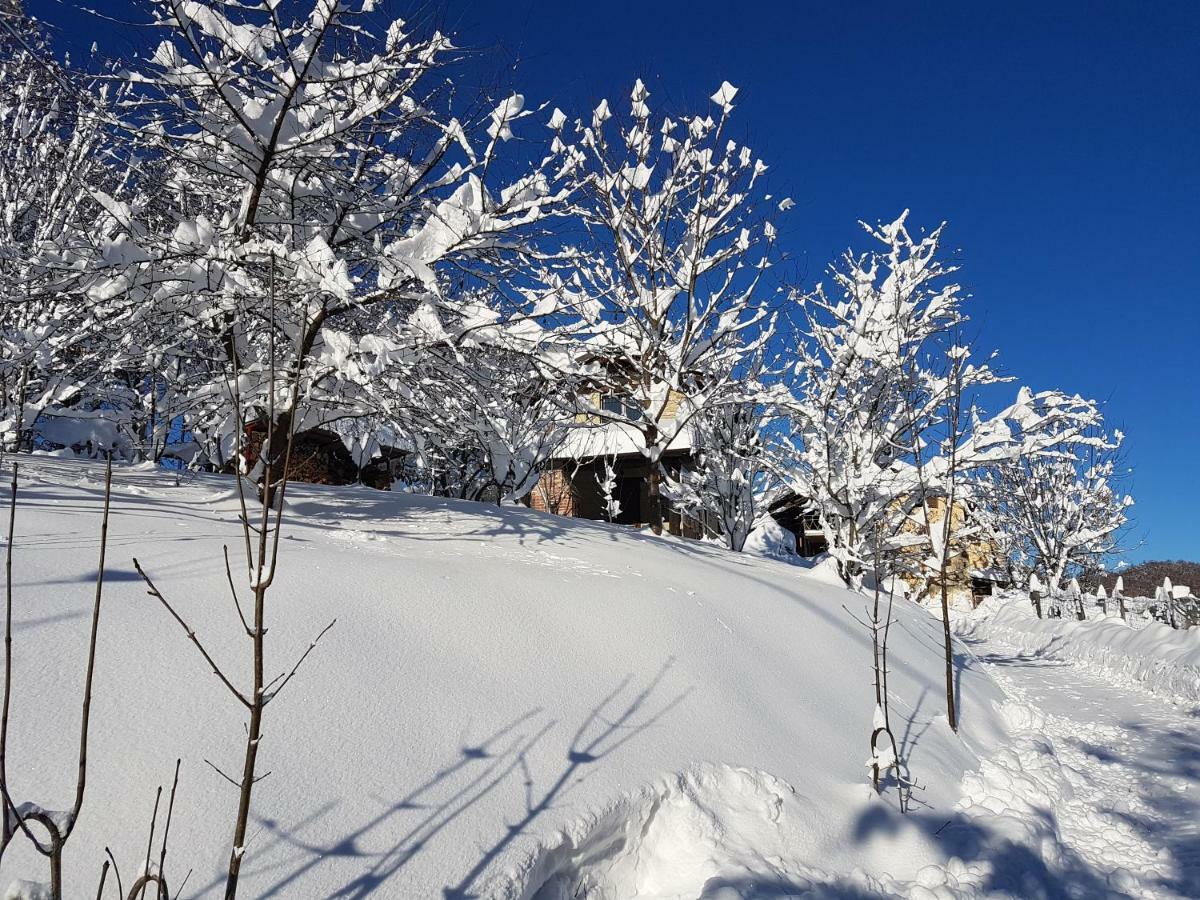 Casa Vacanze Le Primule Peveragno Екстериор снимка